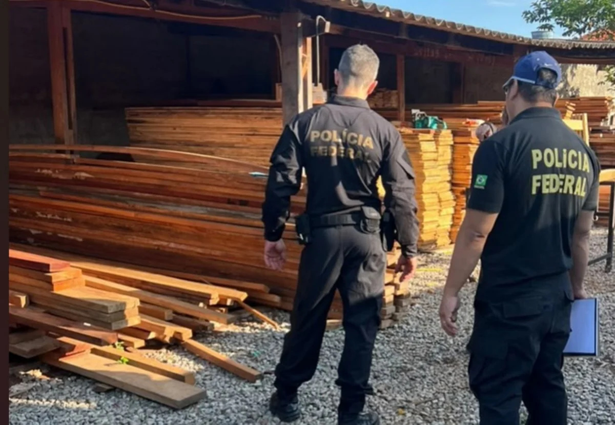 Polícia Federal investiga comércio ilegal de madeira nativa em MG