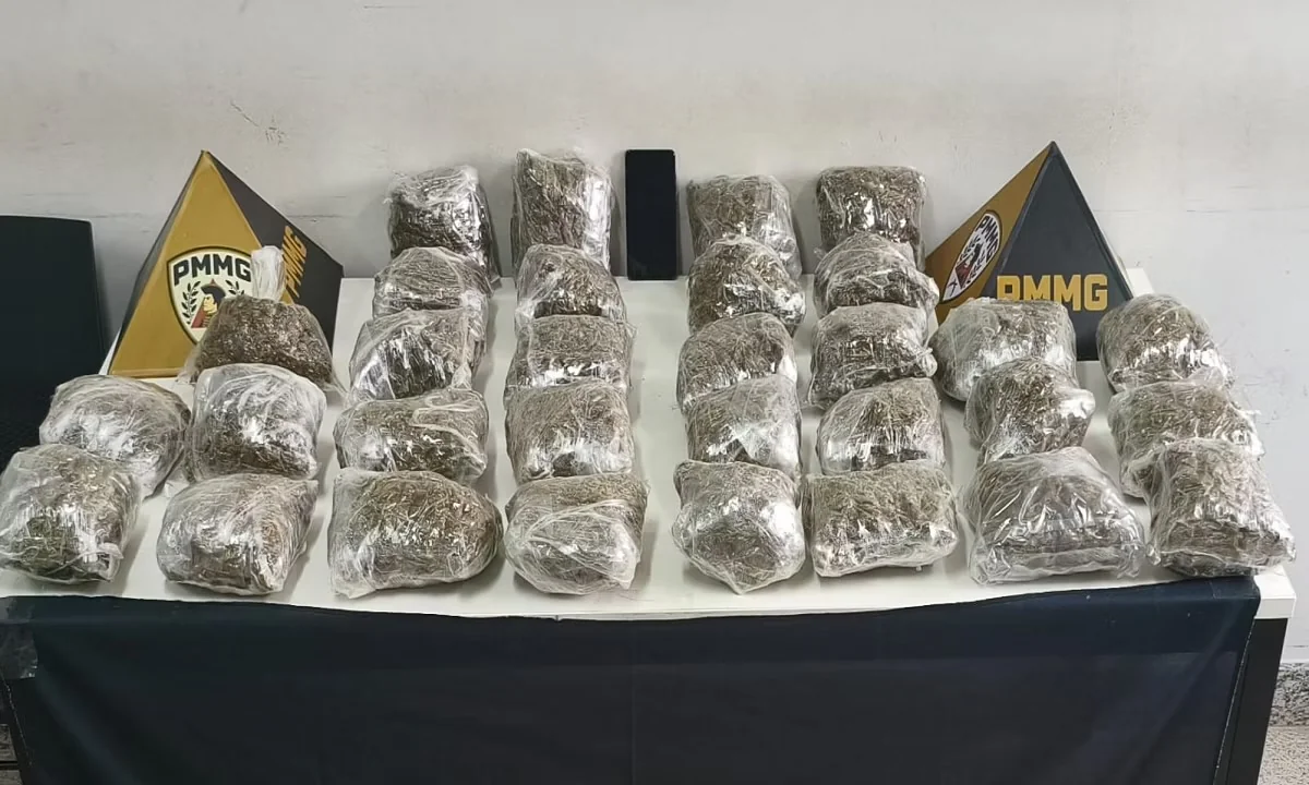 PM apreende skunk avaliado em R$ 155 mil e prende suspeita em Minas Gerais