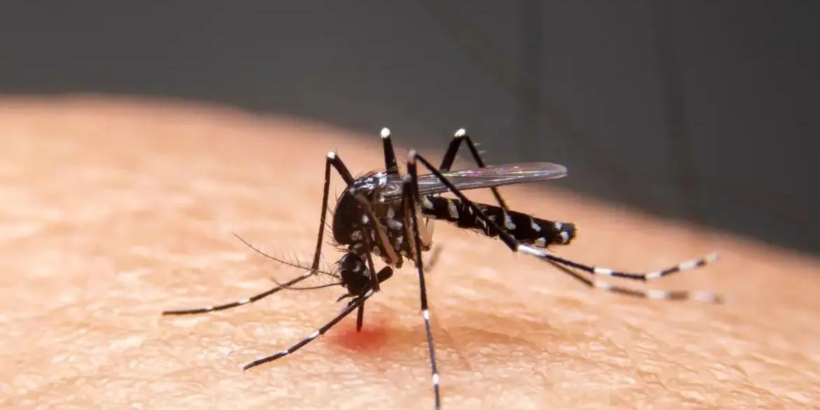 Mudanças climáticas ampliam áreas de transmissão de dengue e favorecem outras doenças no Brasil